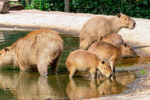 Manu Nationaal Park 3 Dagen