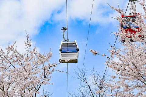 Busan: Hidden Gem Geoje & Oedo Botania Island Shared Tour from KTX Busan Station Exit 1