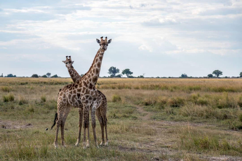 Livingstone: Chobe National Park & Victoria Falls 2-Day Tour