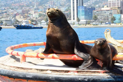 Check out the City Tour to Valparaíso and Viña Del Mar City Tour to Valparaíso and Viña Del Mar