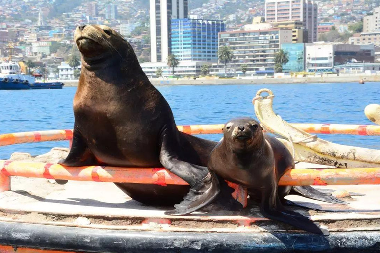 Check out the City Tour to Valparaíso and Viña Del Mar City Tour to Valparaíso and Viña Del Mar
