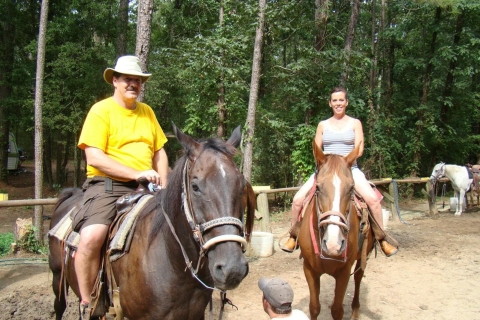 Agadir: Forest and Sand Dunes Guided Horse Riding Tour