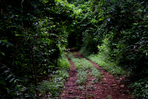Moshi: Rau-Wald (Wanderung oder Radtour)Wandern im Rau-Wald
