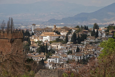 Alhambra: complete tour with Nasrid Palaces, official tour guide, and tickets Tour in English