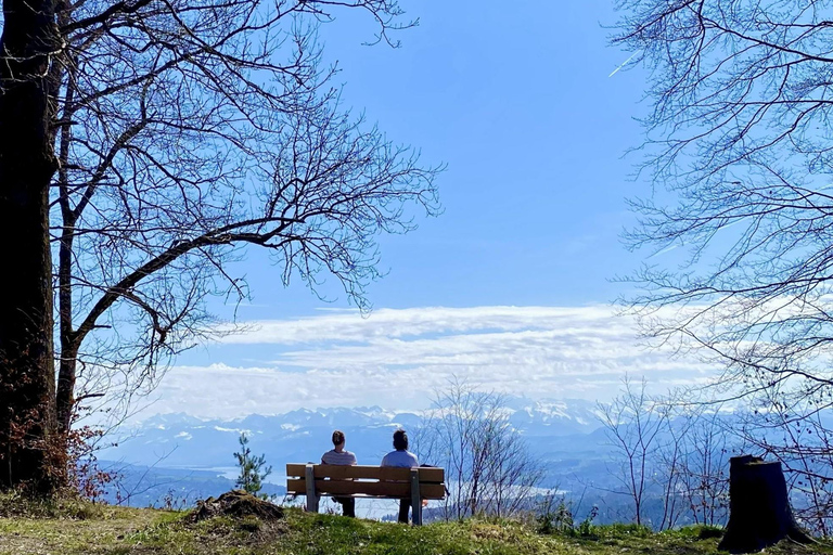 Zurich: Accompanied hike to Uetliberg