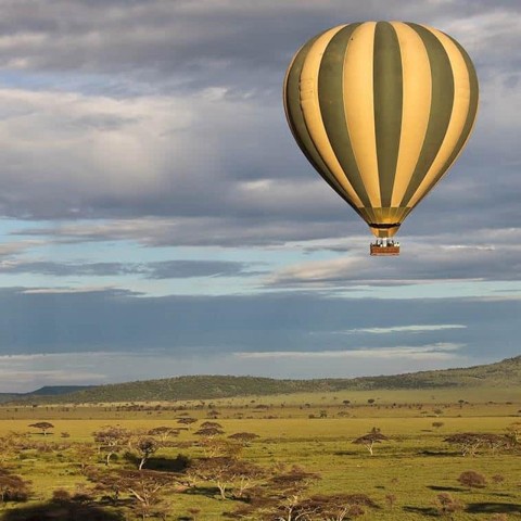 Visit "Embrace Serengeti's Majesty Hot Air Balloon Safari" in Serengeti National Park