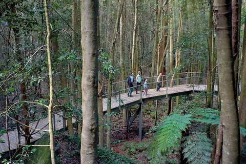 Blue Mountains Half Day Tour with Worlds Steepest Railway