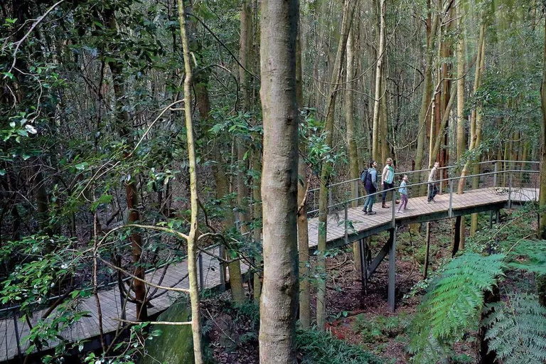 Blue Mountains Half Day Tour with Worlds Steepest Railway