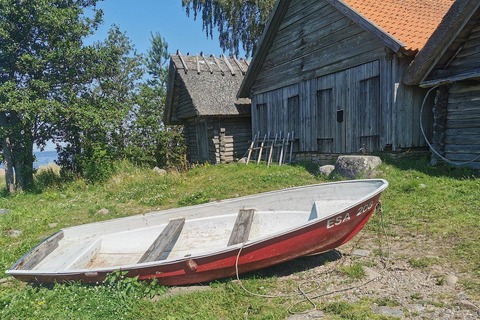 Forest Bathing & Mindfulness Nature Retreat from Tallinn