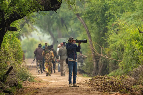 Jaipur: Safari no Parque Nacional de Ranthambore com serviço de busca no hotel