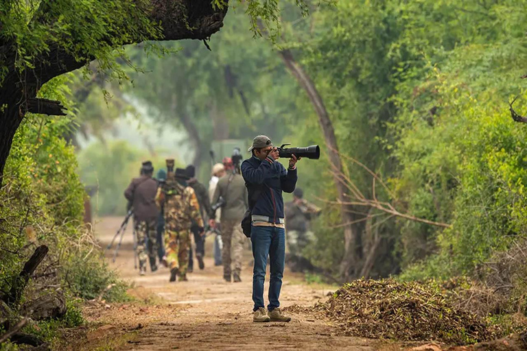 Jaipur: Safari no Parque Nacional de Ranthambore com serviço de busca no hotel