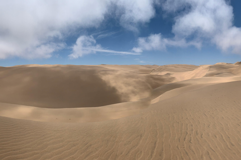 Walvis Bay: Excursión panorámica por el puerto de Sandwich