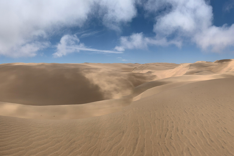 Walvis Bay: Excursión panorámica por el puerto de Sandwich