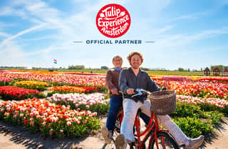 Ab Amsterdam: Tulpen-Event und Tulpenfelder-Tour