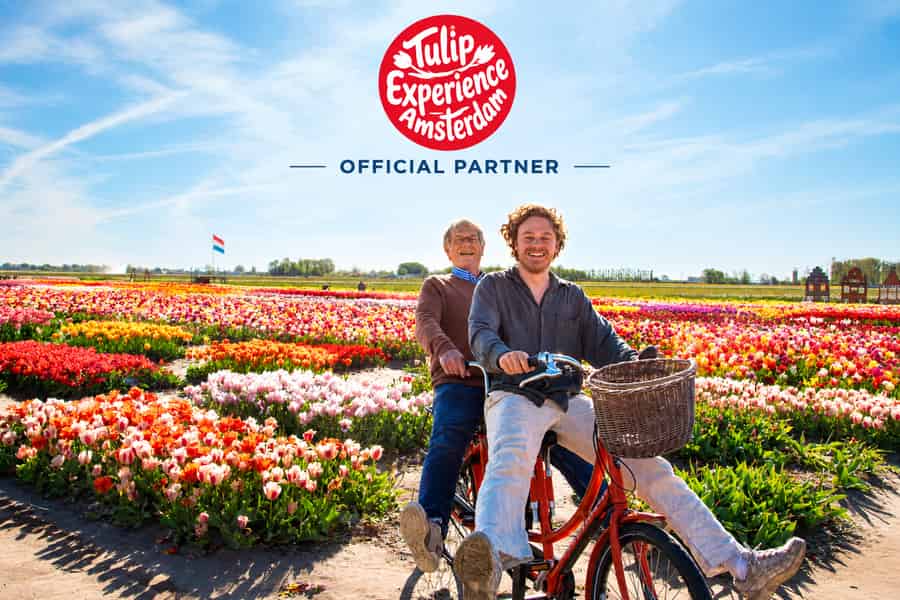 Ab Amsterdam: Tulpen-Event und Tulpenfelder-Tour. Foto: GetYourGuide
