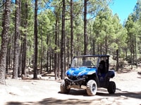 Da Maspalomas, Paesaggi vulcanici 4 posti Buggy Tour - Hizvo