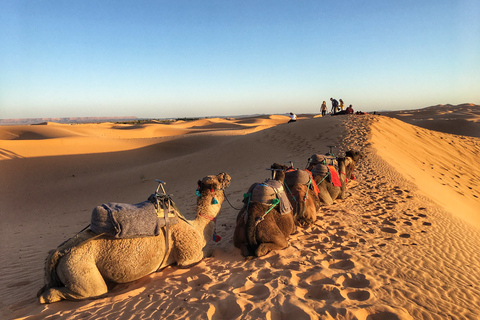 D'Agadir/Tamraght/Taghazout : Sandoarding dans les dunes de sable