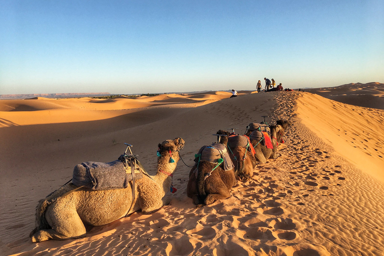 Von Agadir/Tamraght/Taghazout: Sandoarding in den Sanddünen