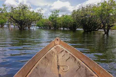 Manaus: 2-, 3- oder 4-tägige Dschungeltour4 Tage & 3 Übernachtungen - Privatunterkunft mit Ventilator