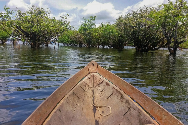 Manaus: 2-, 3- of 4-daagse uitstap Amazone in Anaconda Lodge4 dagen & 3 nachten: privékamer met airco en badkamer