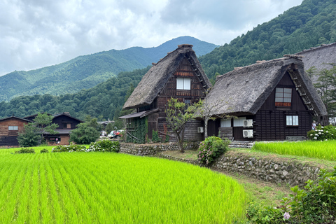 1 Day Customize Private Charter Tour Shirakawago & Kanazawa