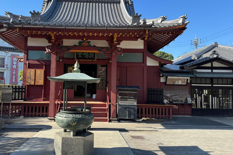 Tokyo : Visite guidée de la ville ancienne et de la ville moderneTokyo : visite guidée d'une demi-journée de la ville