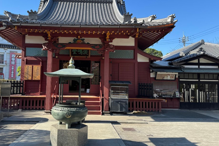 Tokyo : Visite guidée de la ville ancienne et de la ville moderneTokyo : visite guidée d'une demi-journée de la ville