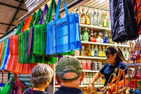 Immerse Yourself in Oaxaca: Guided Cultural Walking Tour