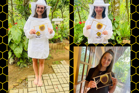 Ella: Bee Farm Tour With Honey Tasting Experience
