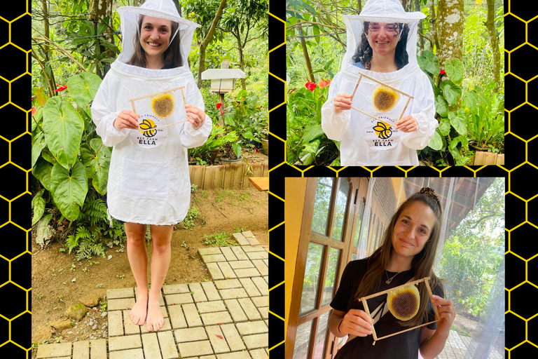 Ella: Bee Farm Tour With Honey Tasting Experience