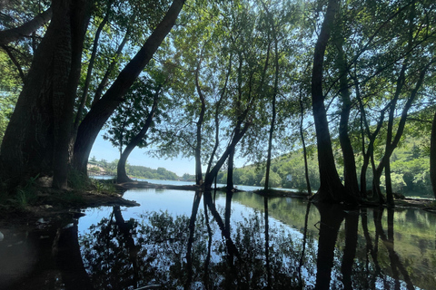 Tbilisi: Turtle lake getaway with cable car ride & free time Private Tour