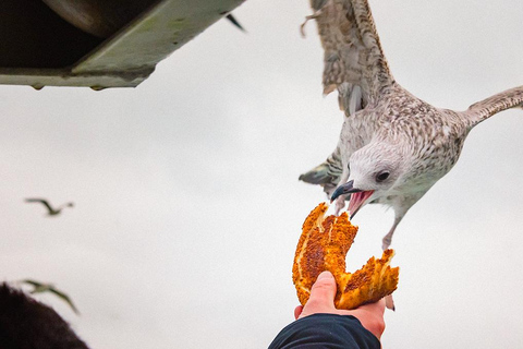 Entradas para Santa Sofía, la Cisterna Basílica y un crucero por el Bósforo