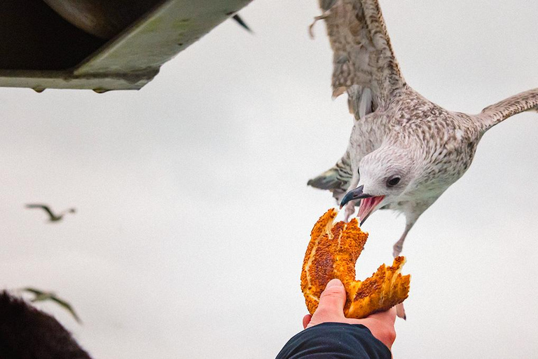 Entradas para Santa Sofía, la Cisterna Basílica y un crucero por el Bósforo