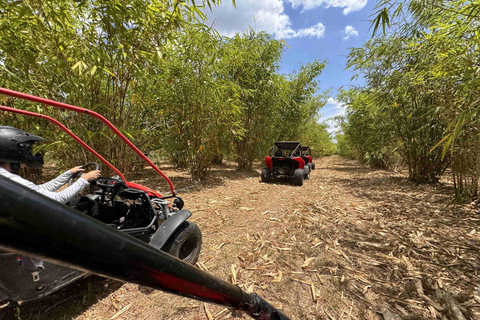Bamboo Dune Buggy Tour