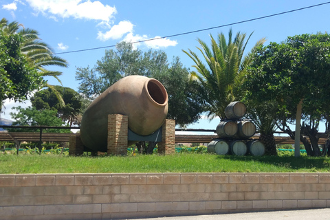 Ab Alicante: Geführter Besuch einer alten Weinkellerei. Verkostung inklusive.