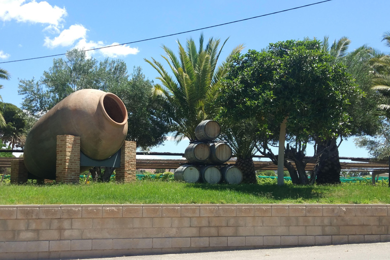 Ab Alicante: Geführter Besuch einer alten Weinkellerei. Verkostung inklusive.