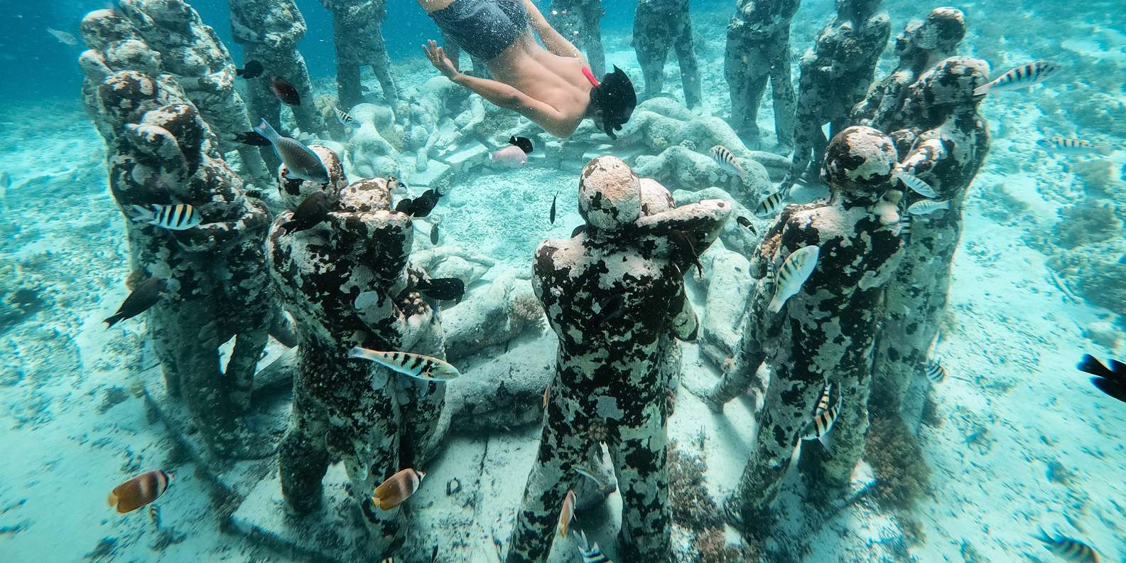 Bali snorkeling tour — underwater marine life and coral reefs — image 27