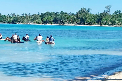 Port Vila: Private Customizable Tour with Driver