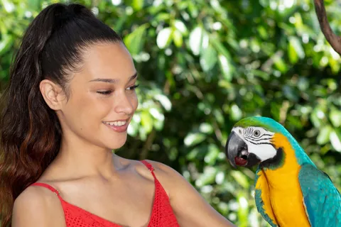 Kuranda by Design, a VIP package experience