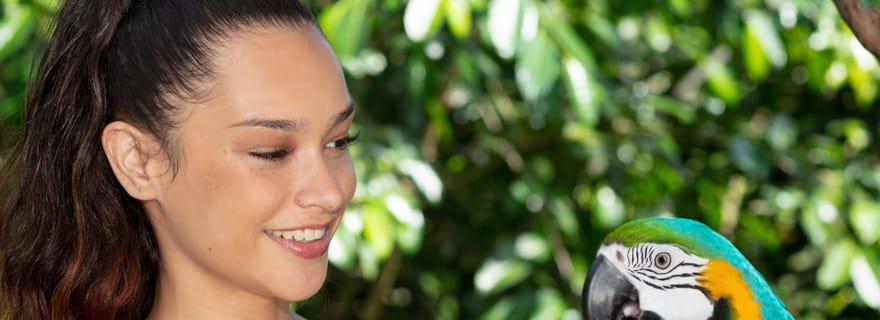 Kuranda by Design, un forfait VIP