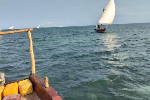 Zanzibar;Blue Safari Snorkeling & Blue Lagoon with BBQ lunch Pickup anywhere (All inclusive)