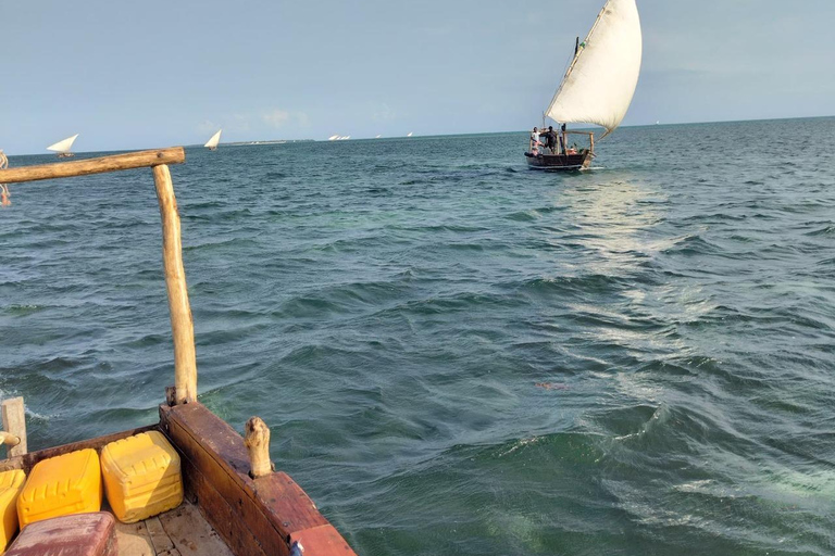Zanzibar;Blue Safari Snorkeling & Blue Lagoon with BBQ lunch Pickup anywhere (All inclusive)