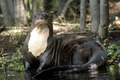 Visit Puerto Maldonado: Exploration by kayak | 4D3N |