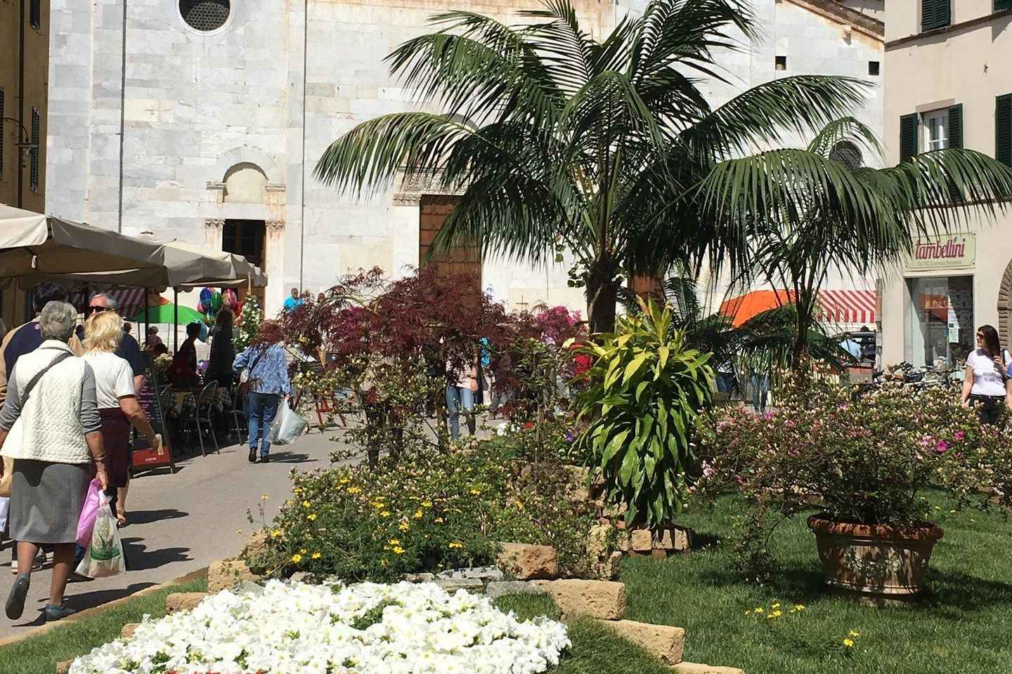 Scopri Lucca: tour privato con guida qualificata