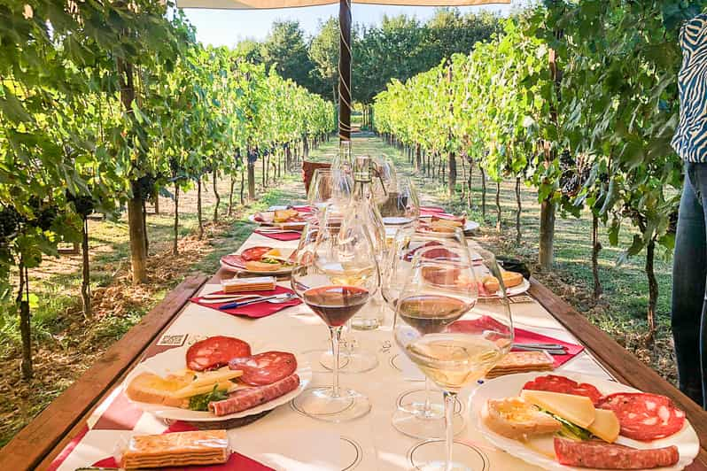 Florence: Chianti Wineries Tour With Food And Wine Tasting | GetYourGuide