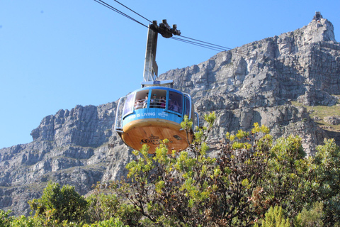 Cape Town: Table Mountain, Bo-Kaap, & Boulders Beach Tour