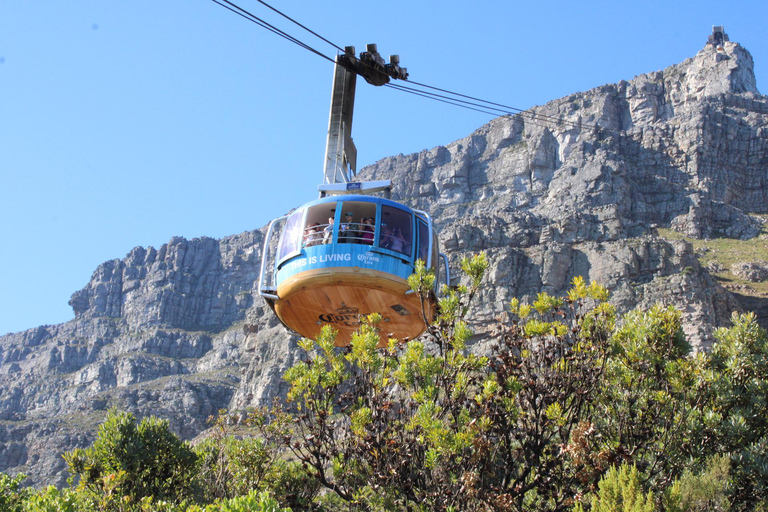 Cape Town: Table Mountain, Bo-Kaap, & Boulders Beach Tour