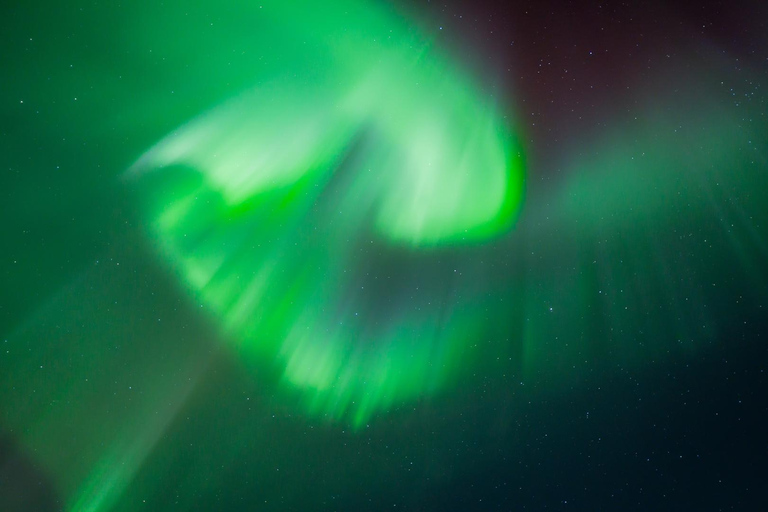 Rovaniemi: Aurora Hunting with 100% Refund. Small Group. Rovaniemi: Aurora Treasure Expedition & Refund (Standard)