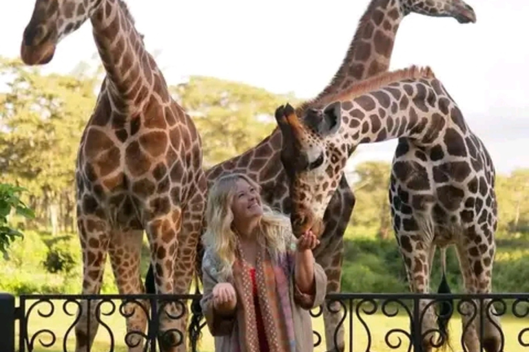 Mombasa: Half-Day Haller Park Giraffes Feeding Experience