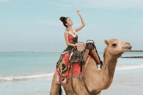 Bali : Balade à dos de chameau sur la plage de Kelan30 minutes de trajet